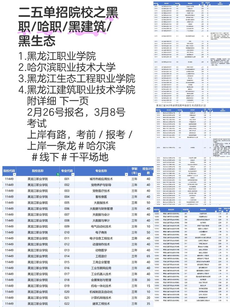 哈尔滨科学技术职业学院官网：您的求知导航